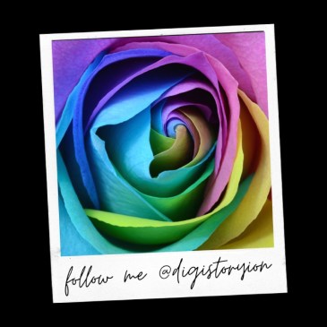 Rainbow rose on polaroid picture template with text follow me @digistoryion